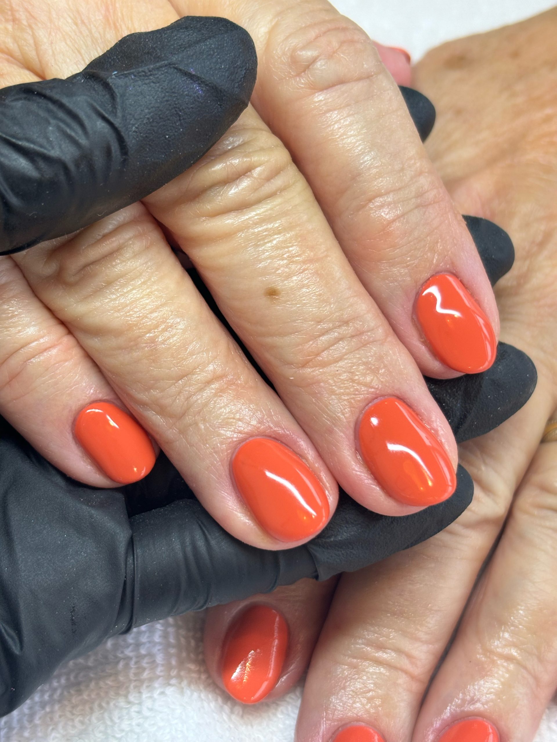 CFE8D90C-816B-4755-ADAB-F171F26A3A94